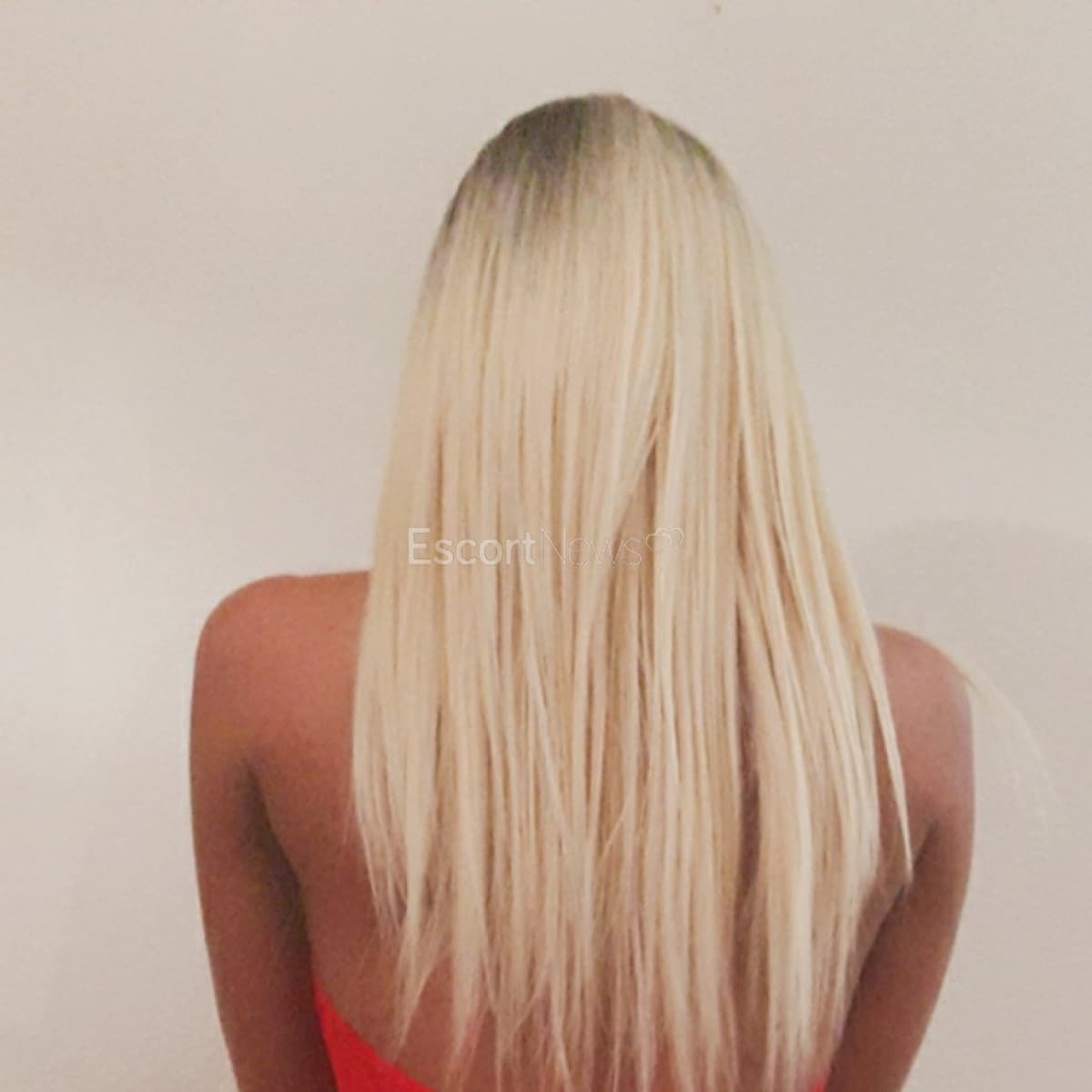 ALISSA alt view 1