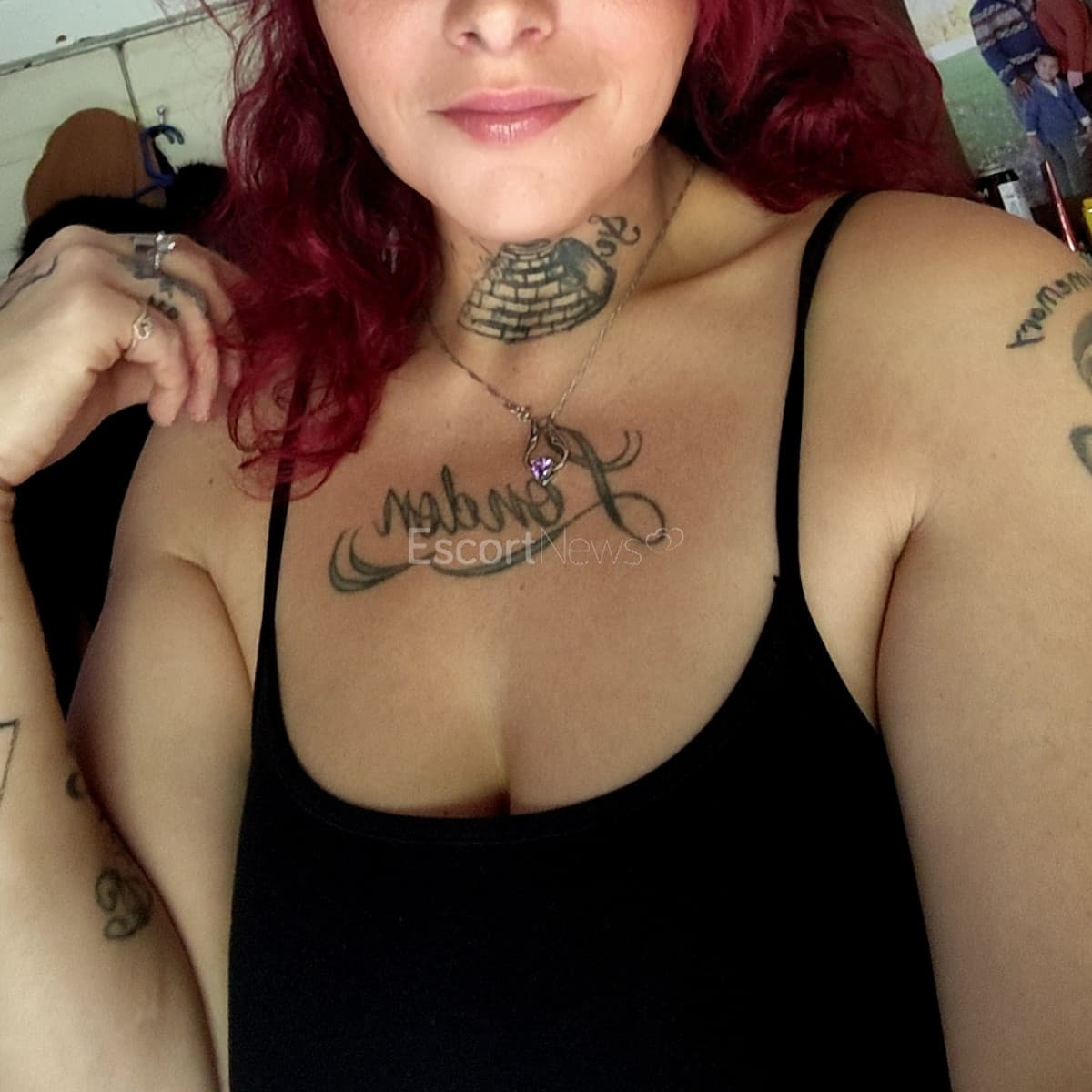 Cammi alt view 1