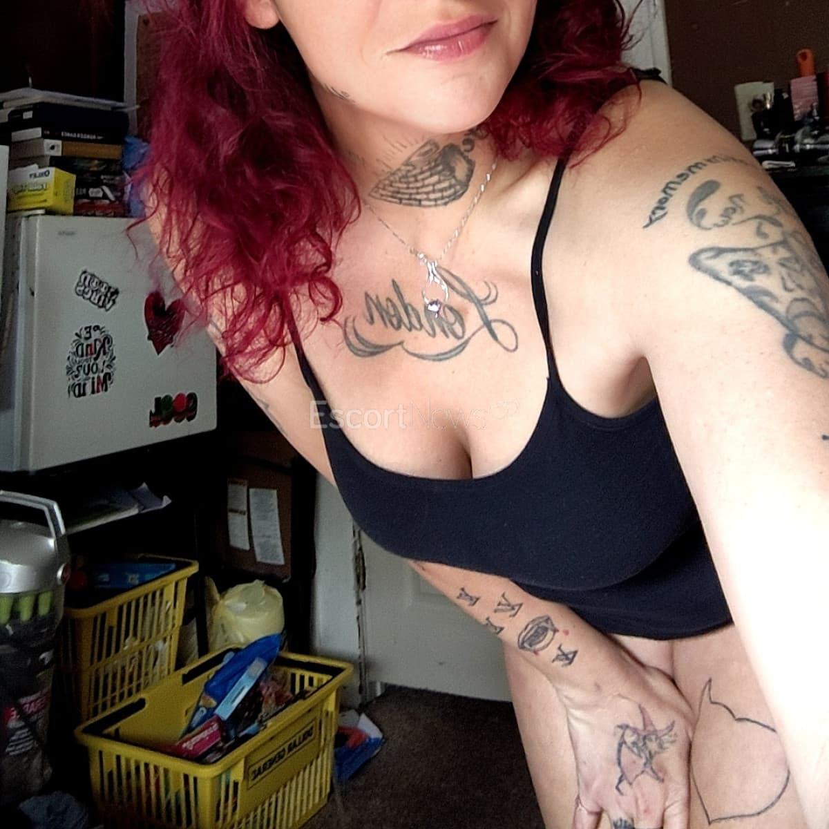 Cammi alt view 2