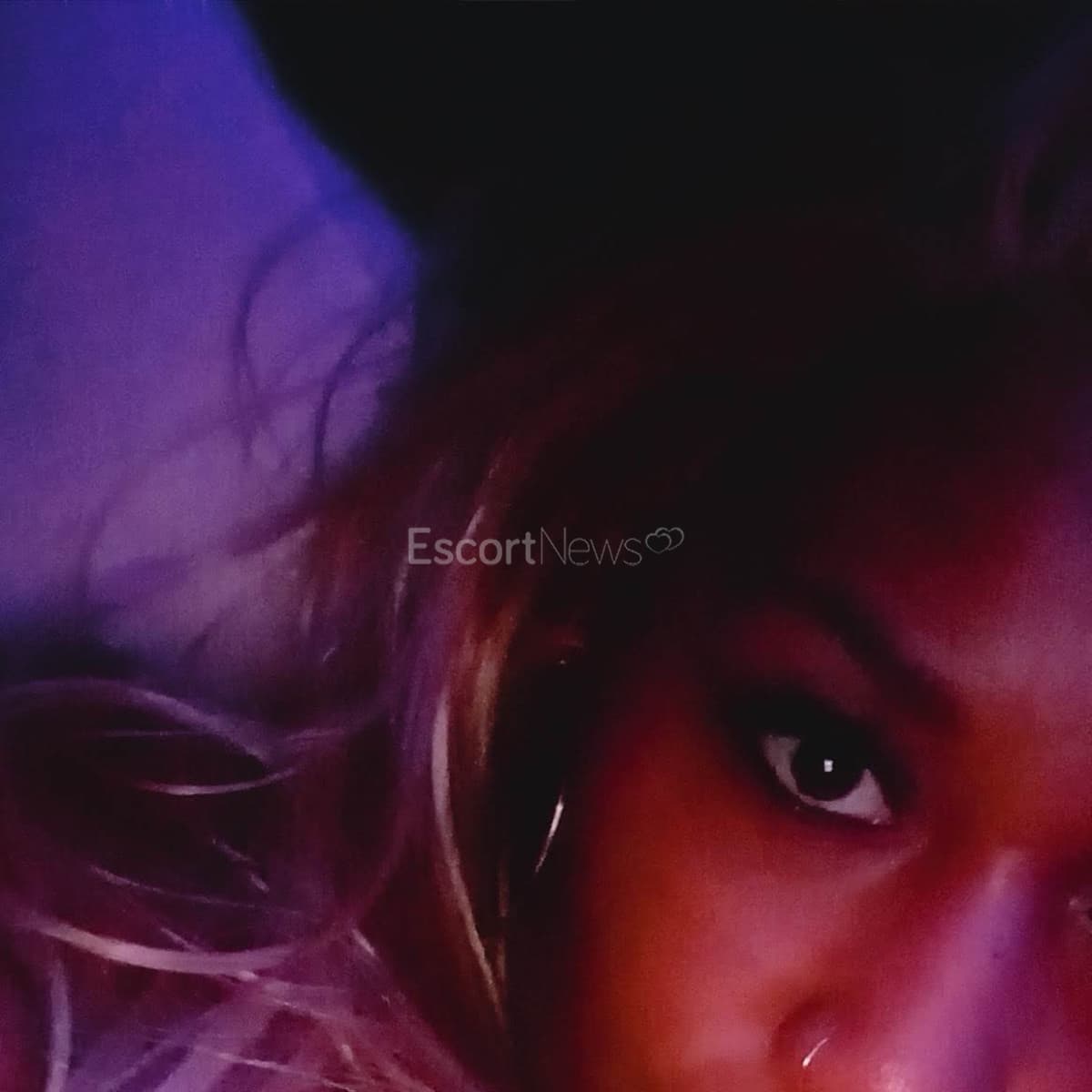 Honey Doo alt view 8
