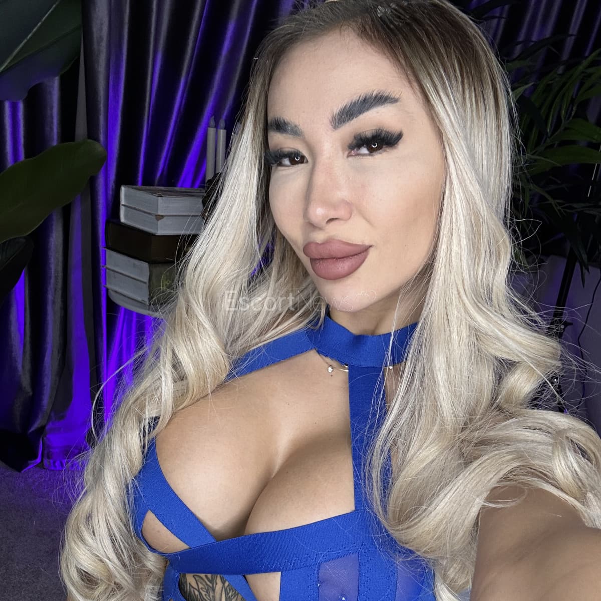 Leila alt view 6