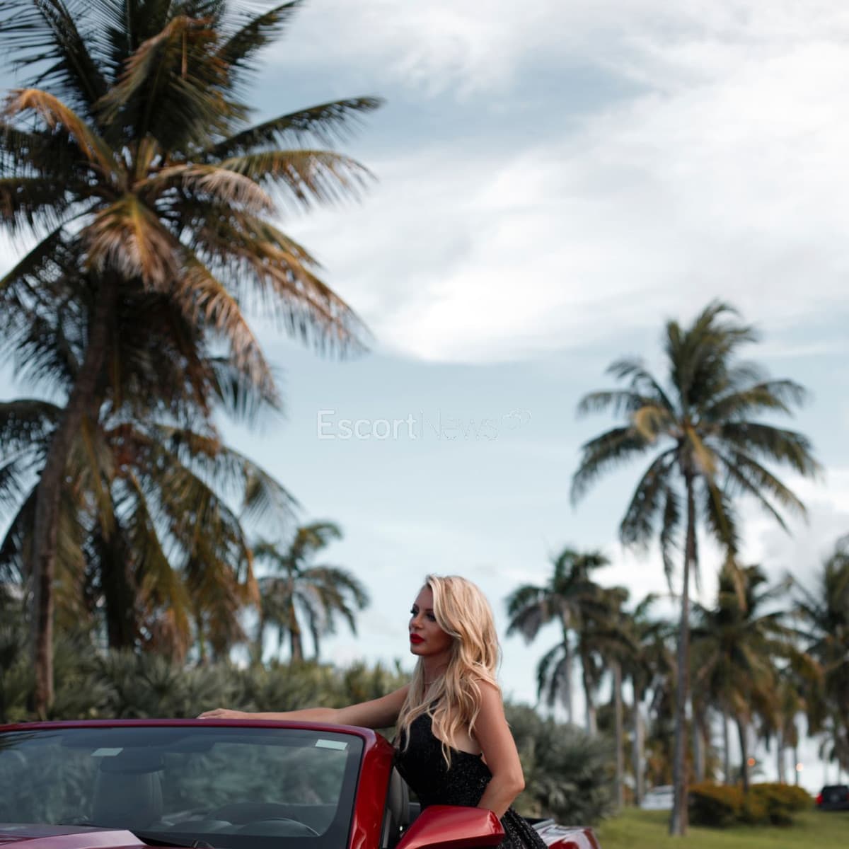 Melisa alt view 3