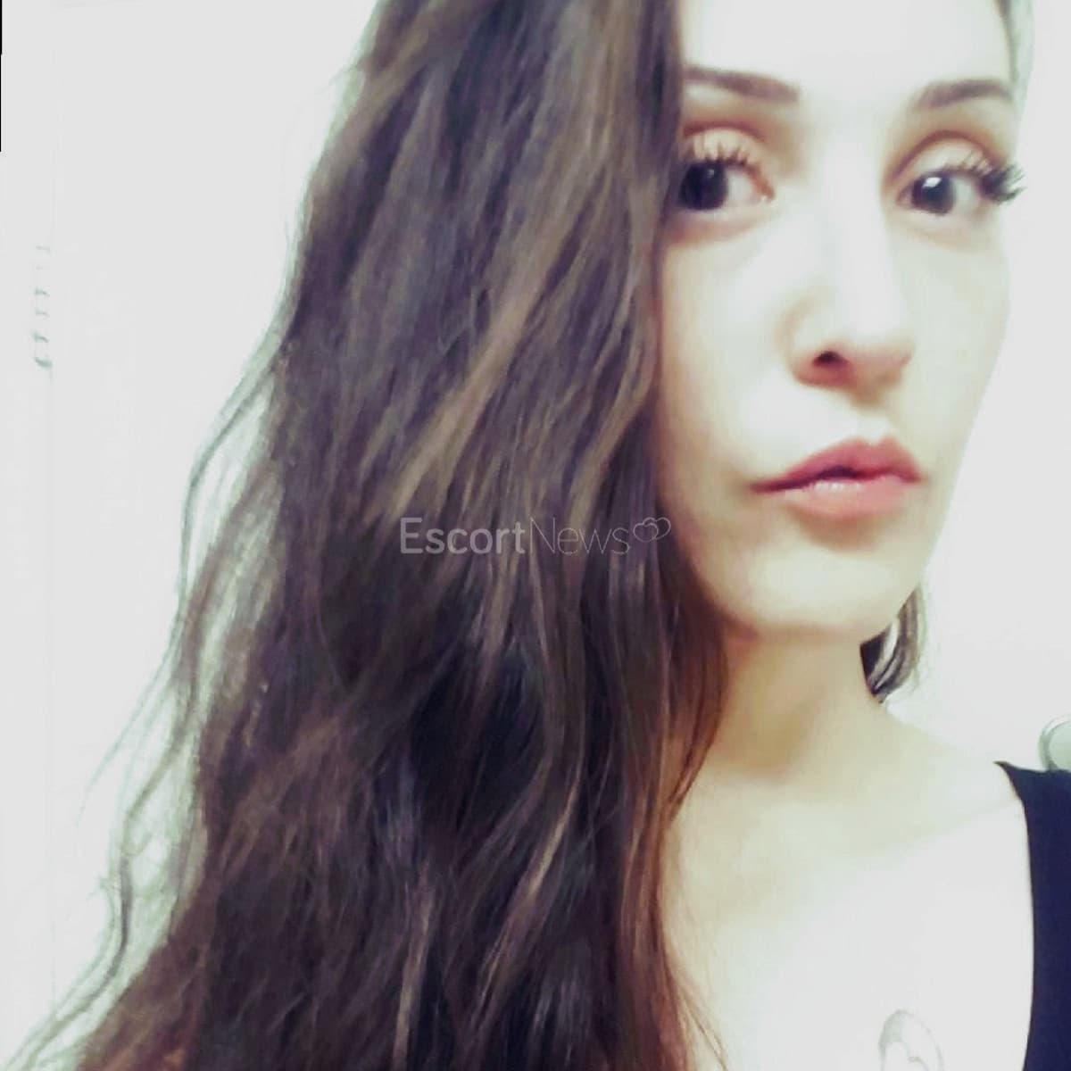 Prettybird alt view 4