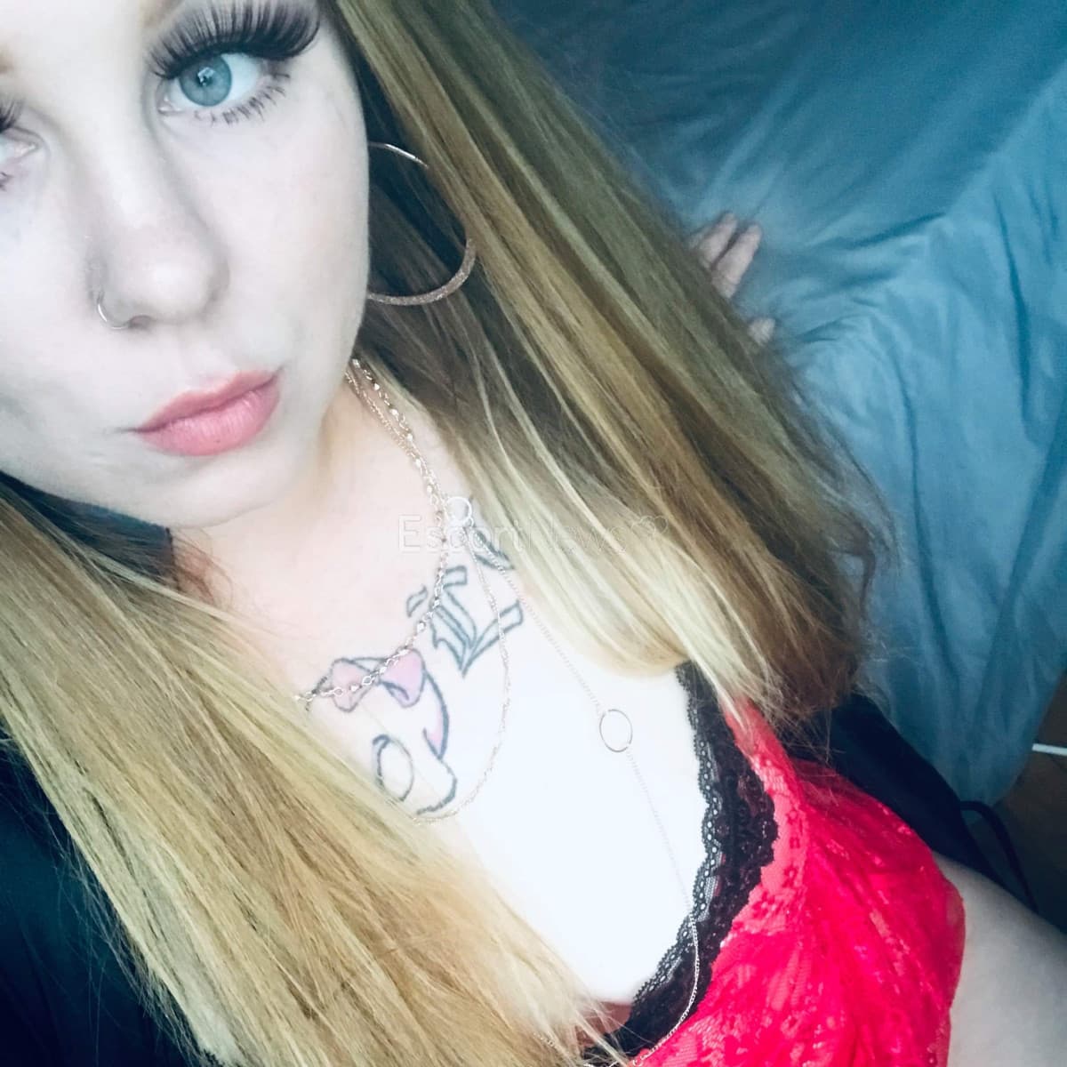 renee amor