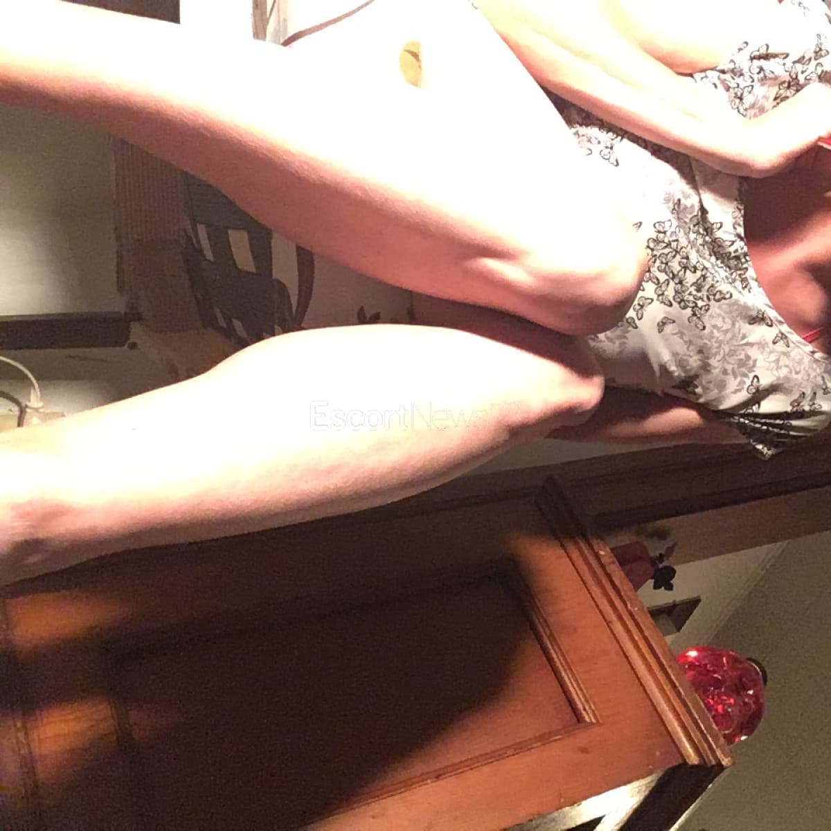 Stevie alt view 7